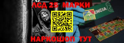 ГАЛЛЮЦИНОГЕННЫЕ ГРИБЫ Новозыбков